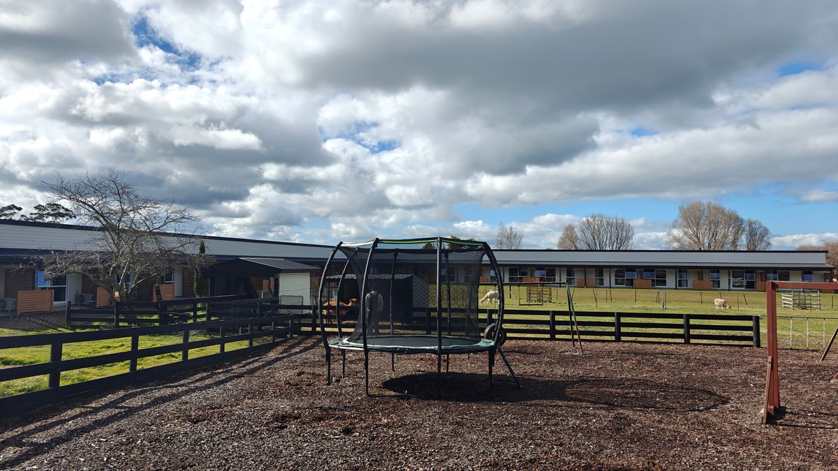 Trampoline facing the motel units