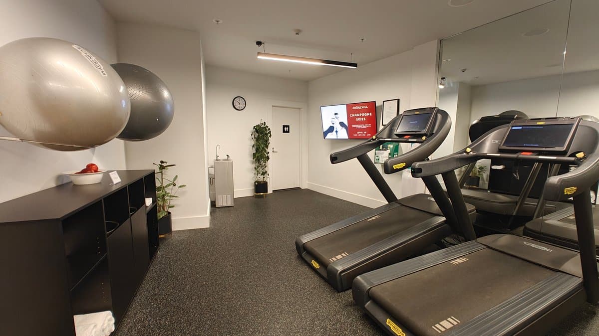 Treadmills along the gym window