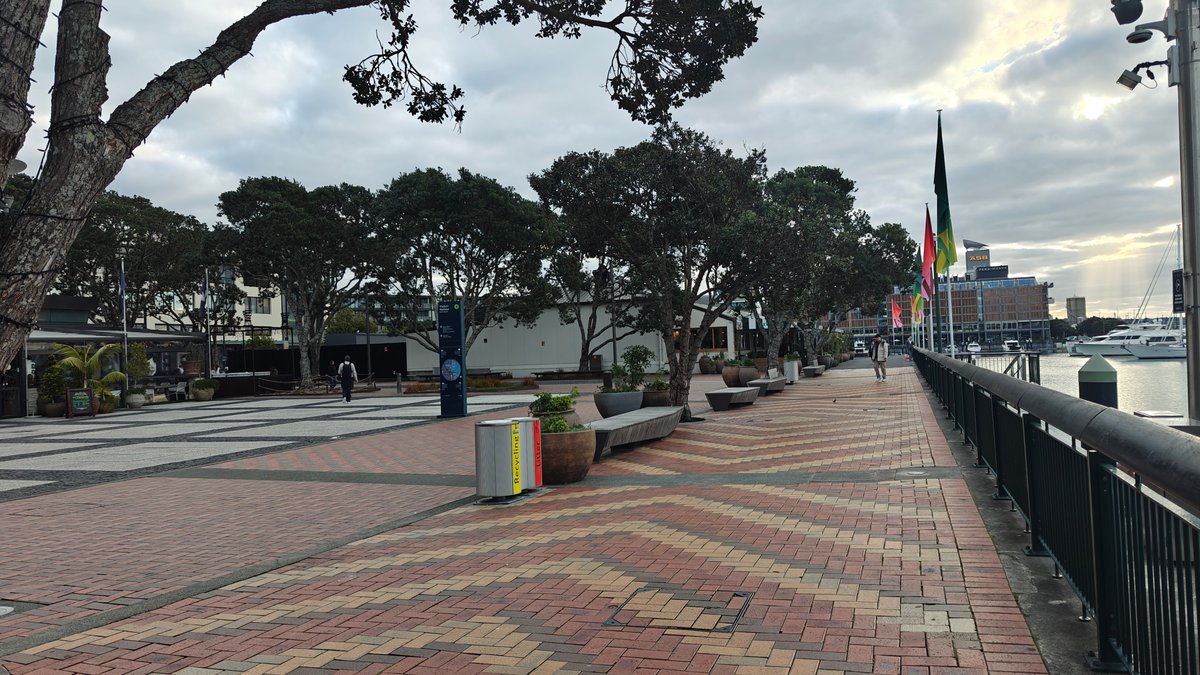 Tree-lined promenade beside glazed buildings