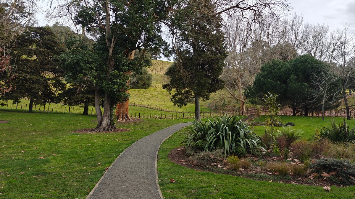 Tree-lined walk toward One Tree Hill