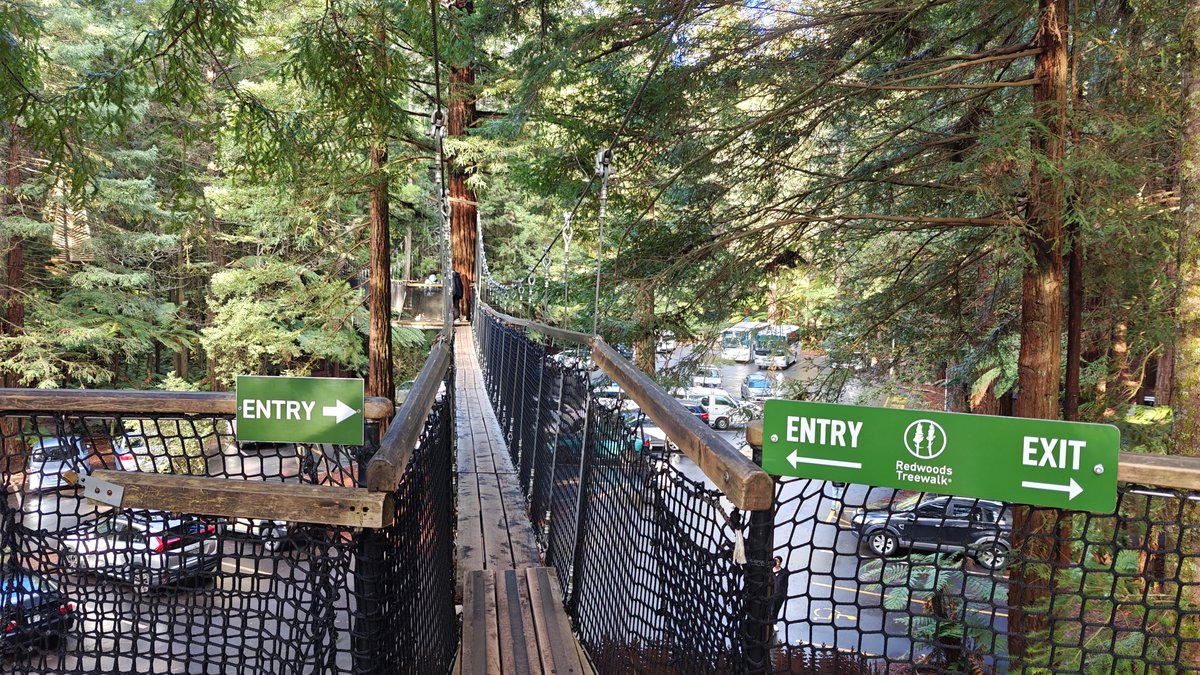 Treewalk entry and exit platform