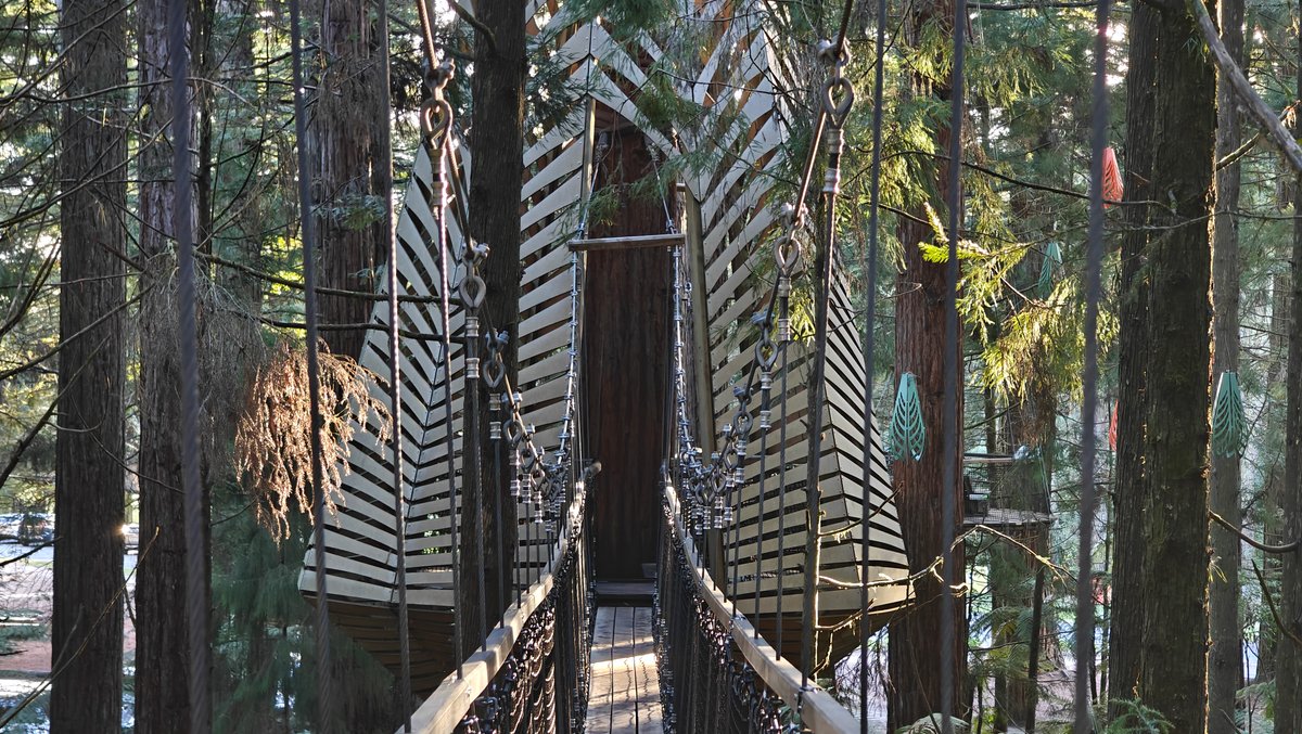 Treewalk with hanging lantern shapes