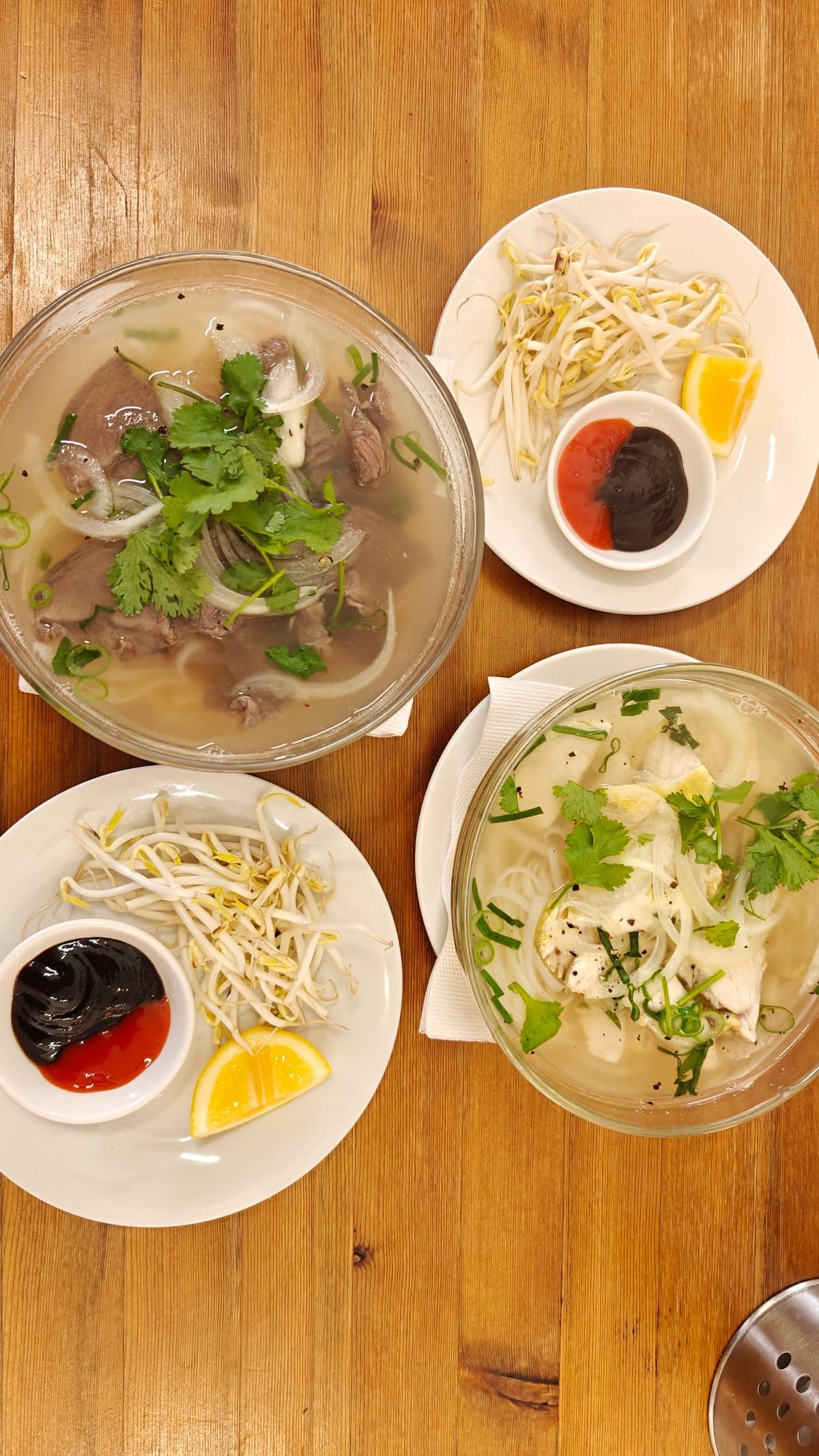 Two bowls of noodle soup