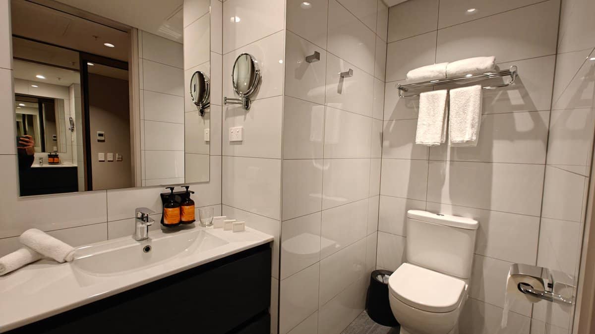 Vanity toilet and shower together