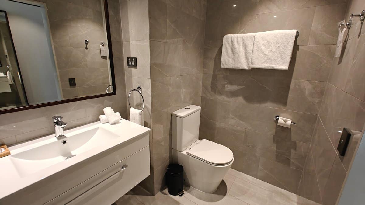 Vanity toilet and towel rail