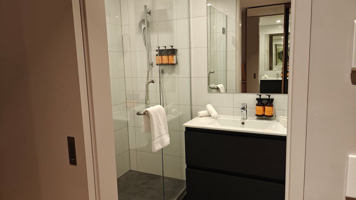 Vanity towels and amenity bottles