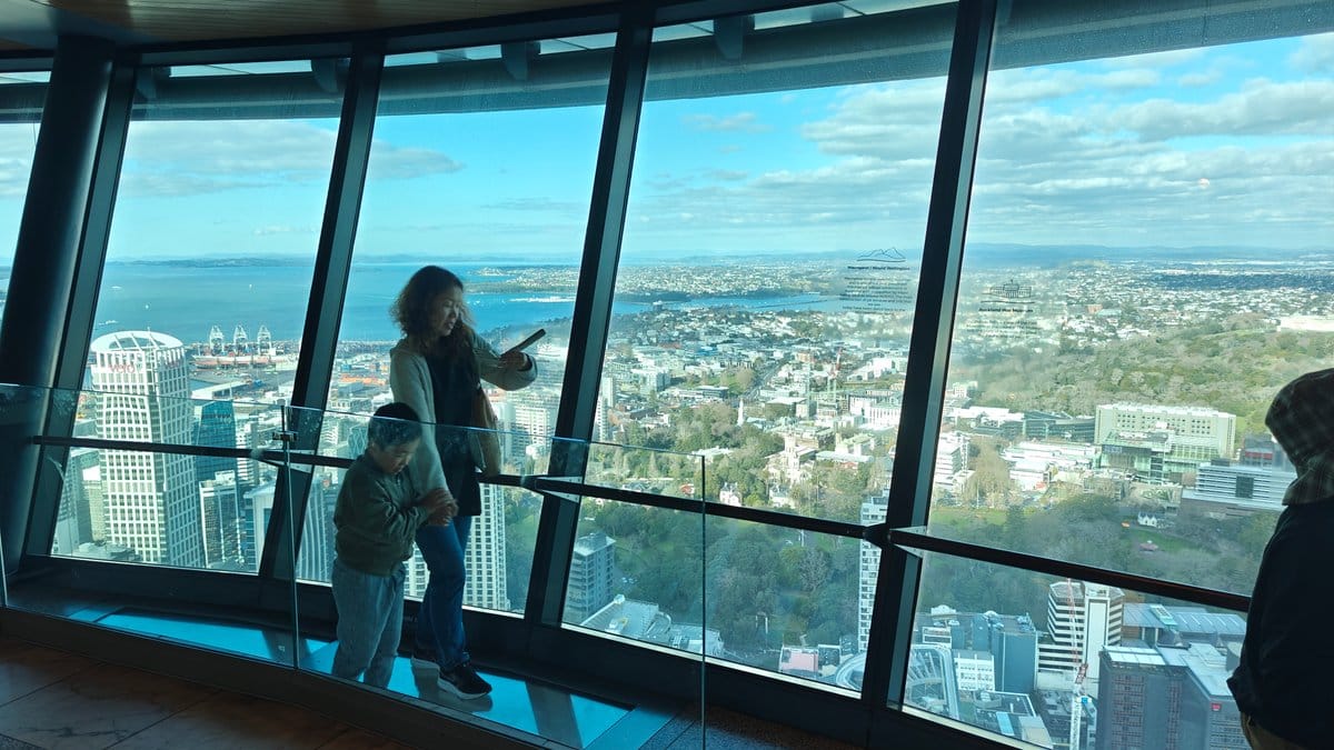 Visitor gazing out over city