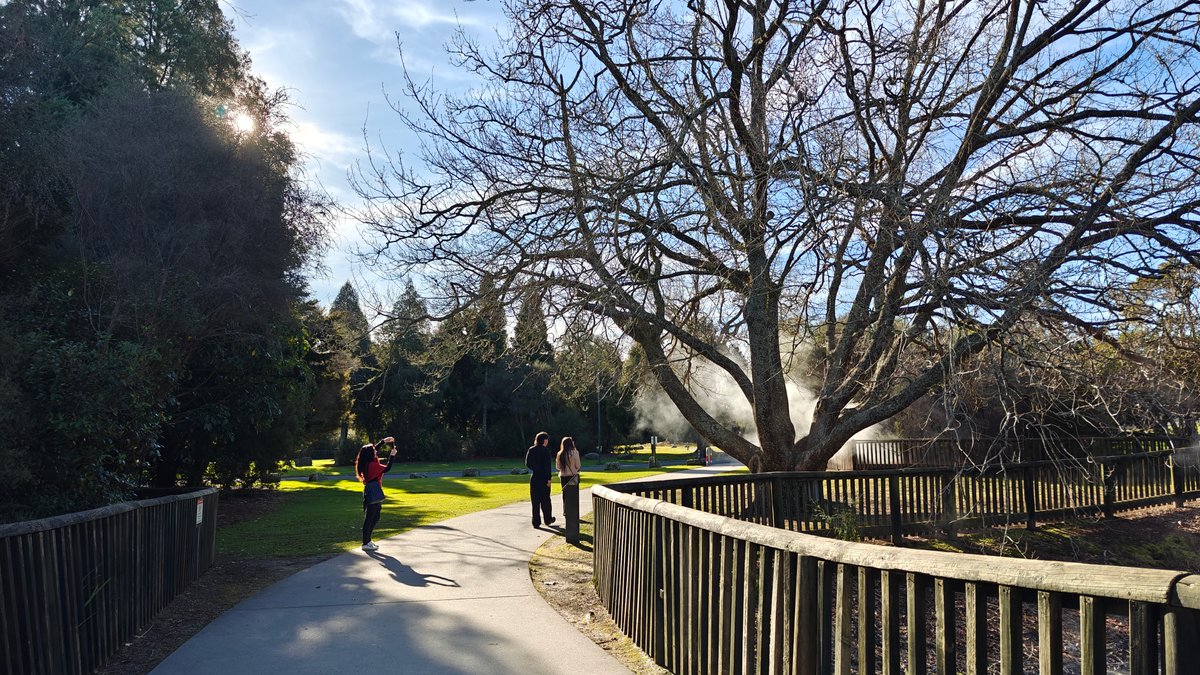 Visitor walking through low steam