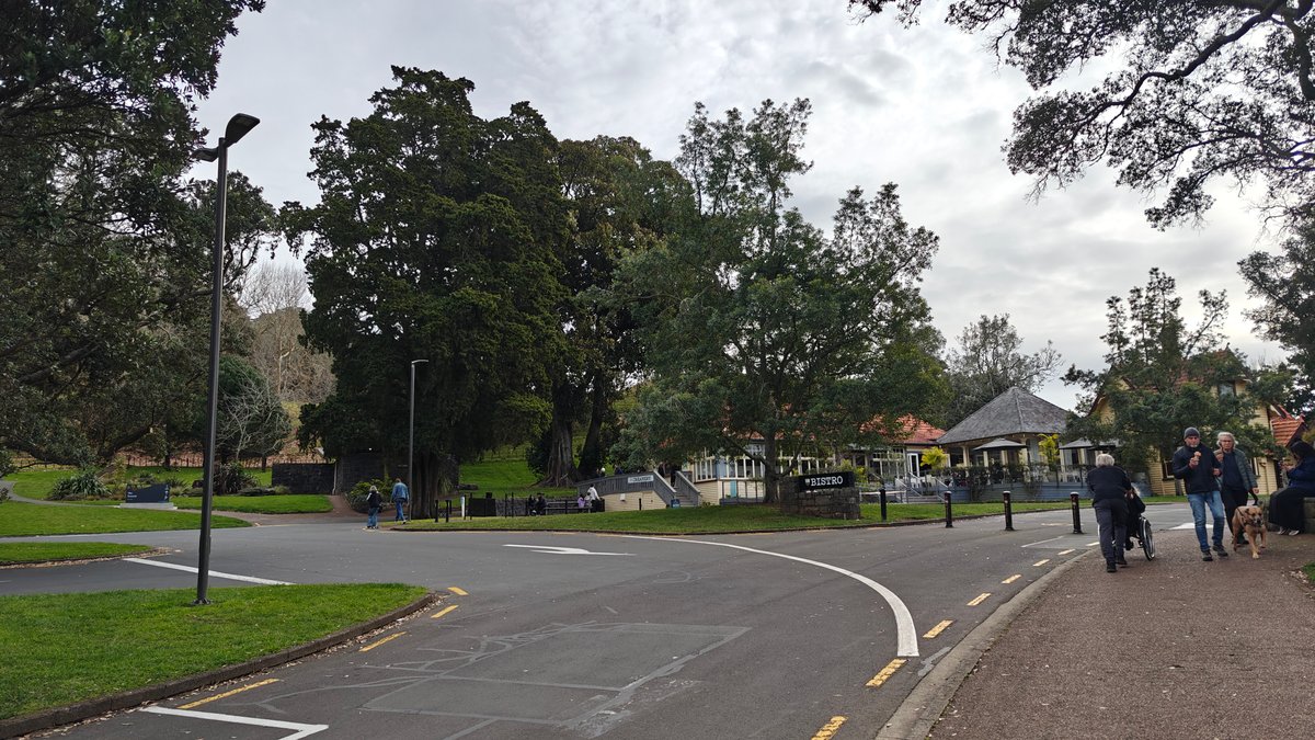 Visitors along the park road