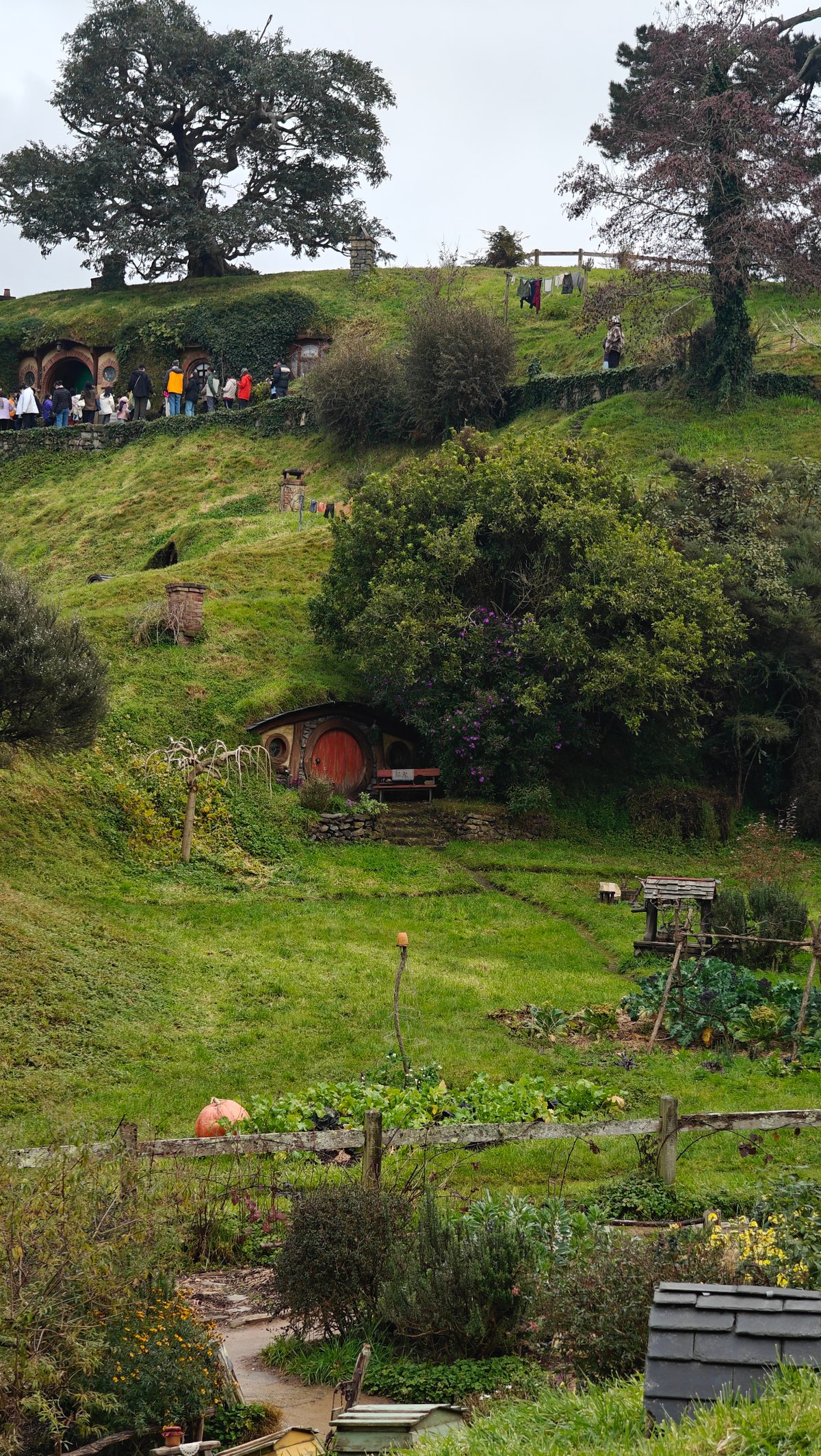 Visitors along the Shire ridge