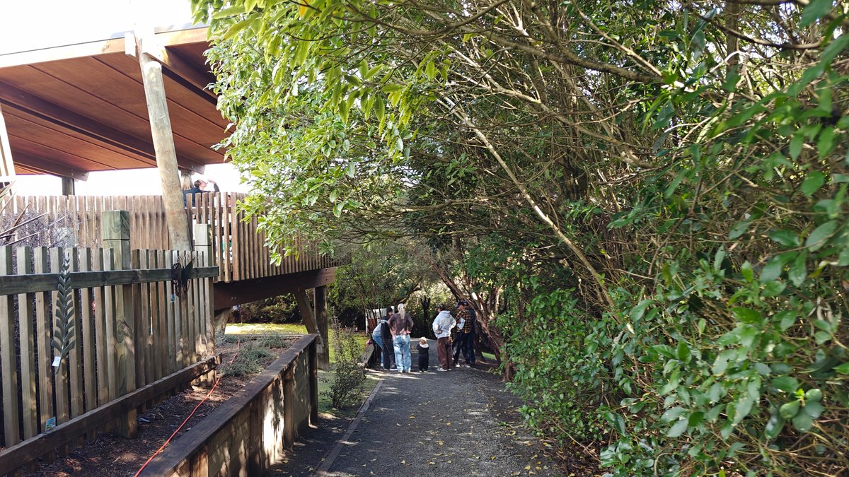 Visitors starting the boardwalk walk