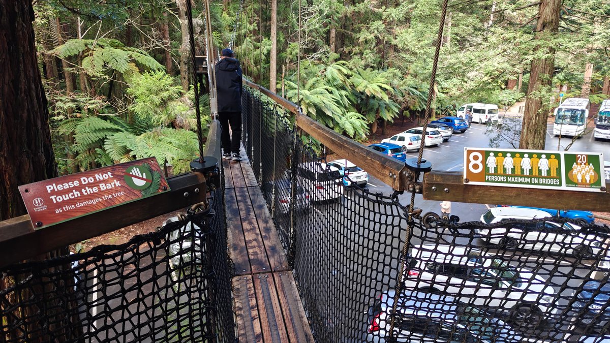 Walker crossing the suspension bridge