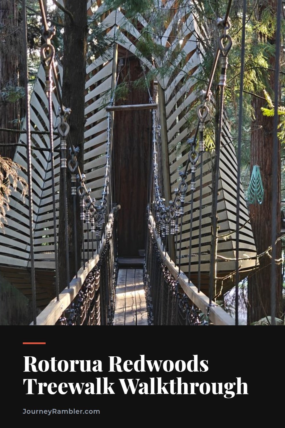 Walking the Redwoods Treewalk in Rotorua