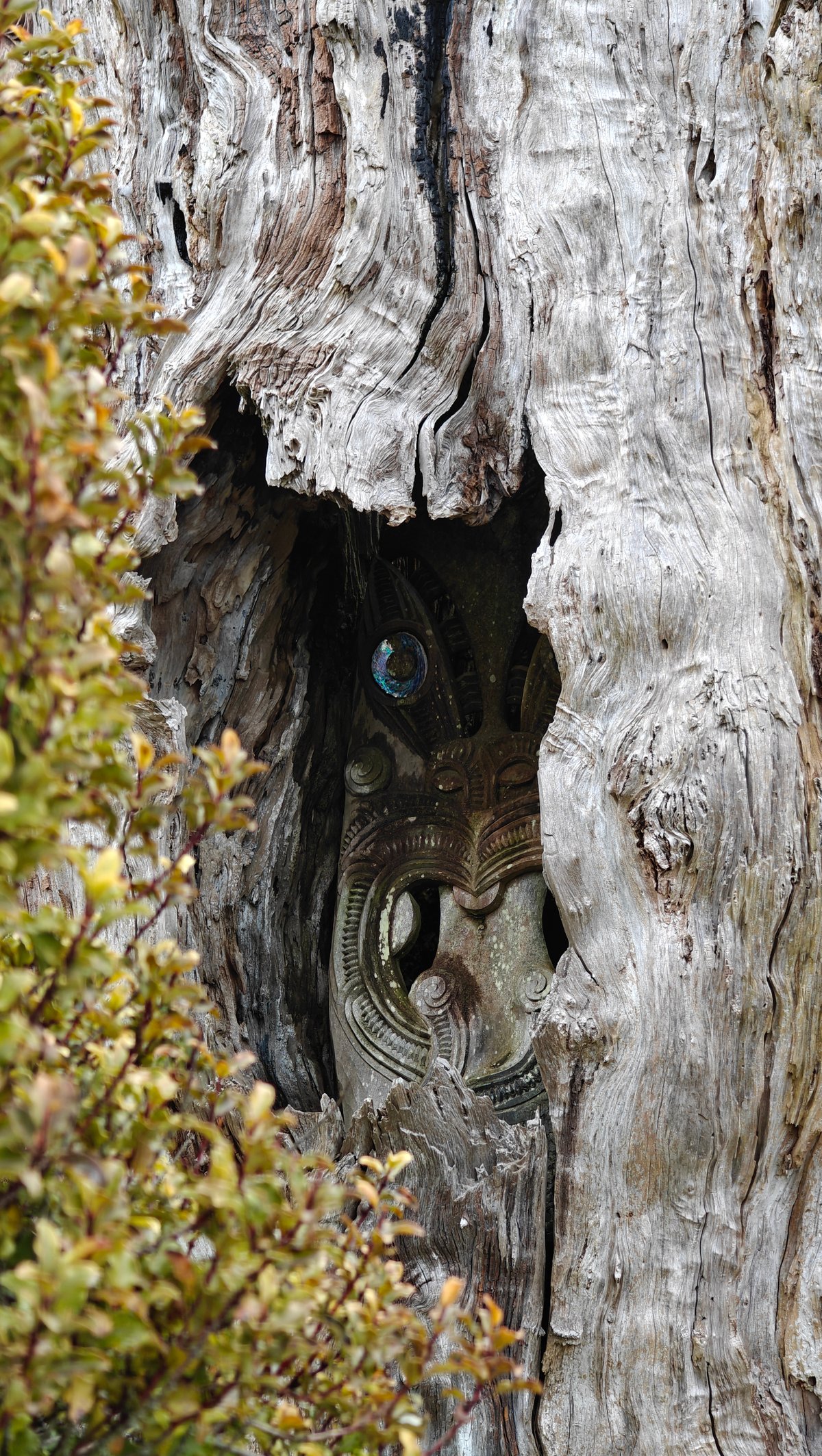 Weathered post with carved face