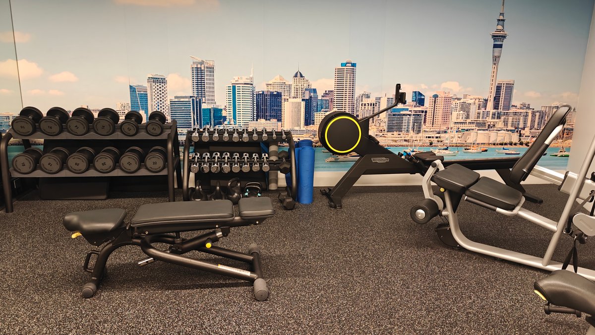 Weights bench and dumbbells