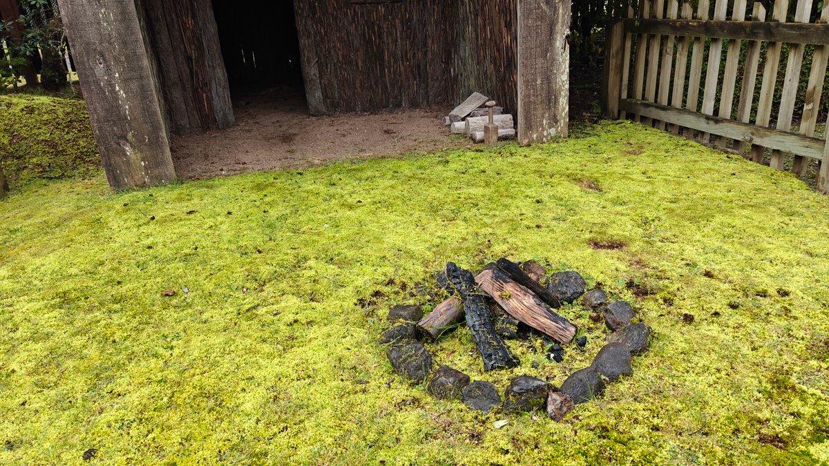 Whare porch and fire pit