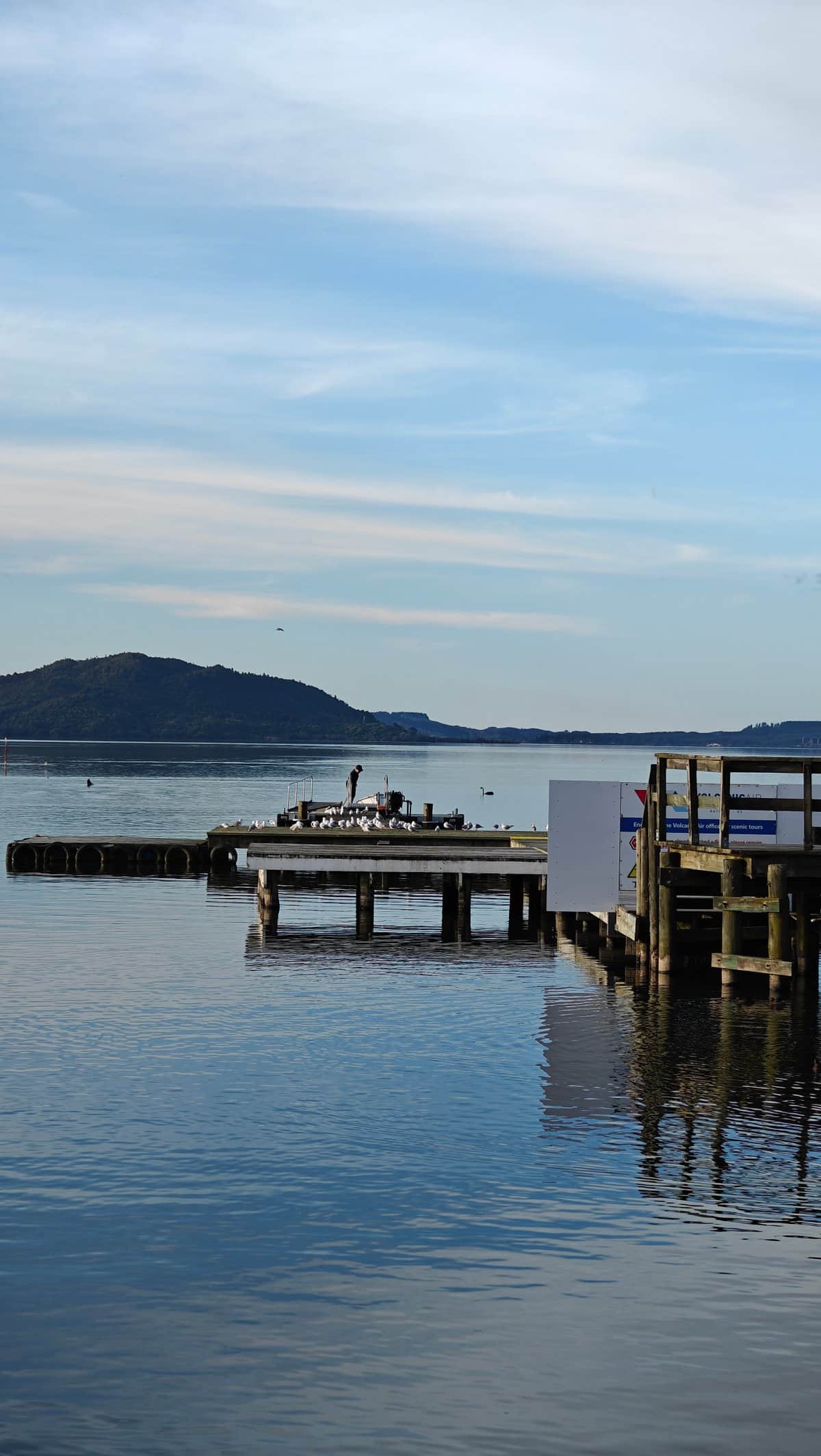 Wharf looking toward Mokoia Island