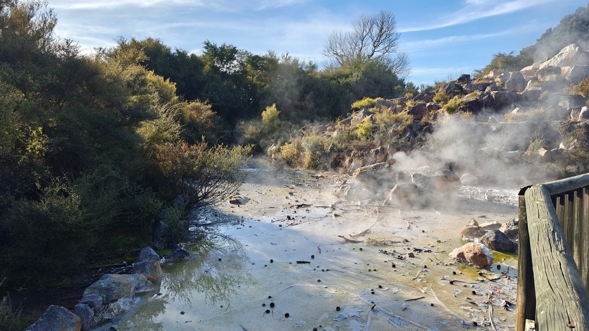 Wide steaming grey mud crater