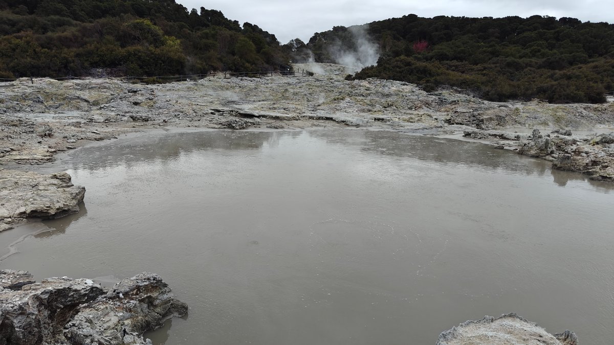 Wide steaming grey mud pool