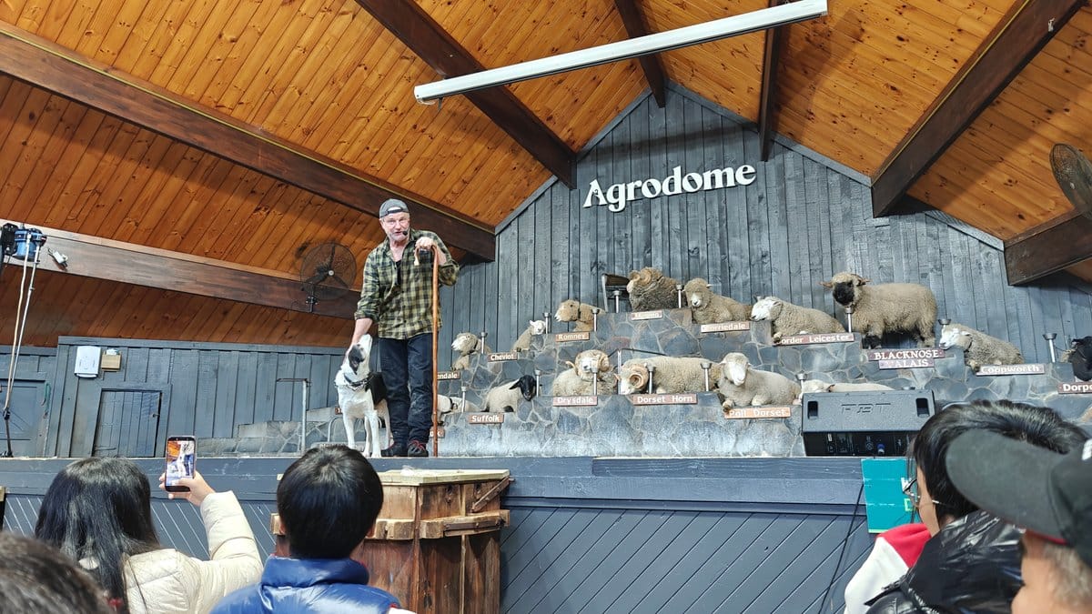Working dog with presenter on stage