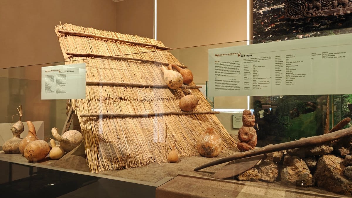 Woven kūmara store with laid tubers