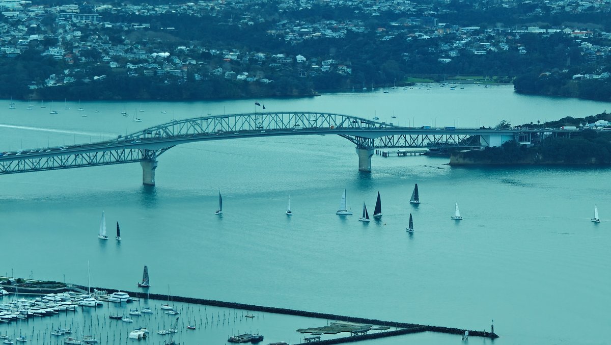 Yachts sailing under harbour bridge